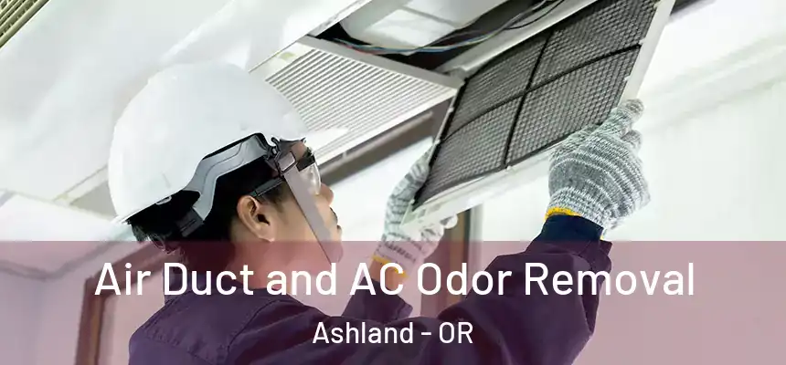 Air Duct and AC Odor Removal Ashland - OR