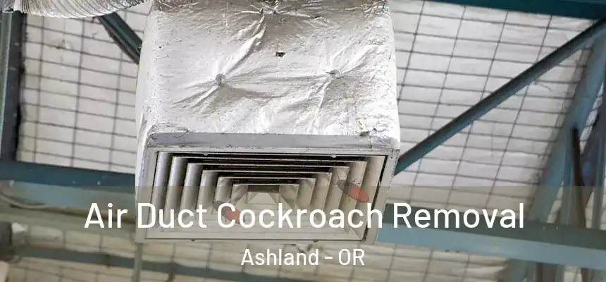  Air Duct Cockroach Removal Ashland - OR