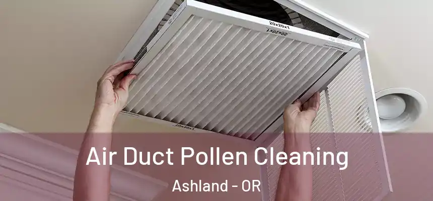 Air Duct Pollen Cleaning Ashland - OR