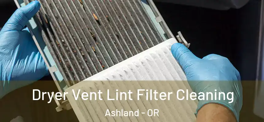 Dryer Vent Lint Filter Cleaning Ashland - OR