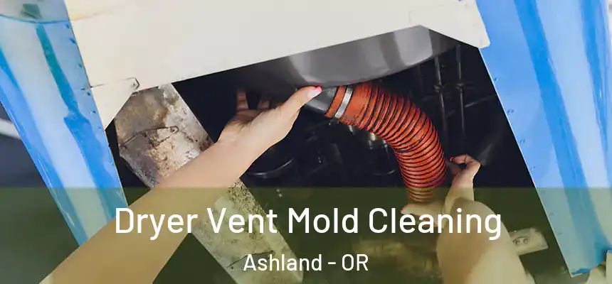  Dryer Vent Mold Cleaning Ashland - OR