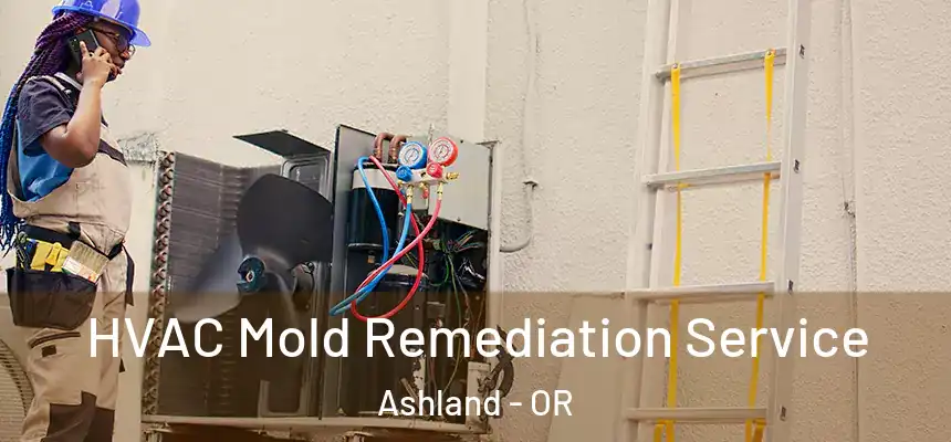  HVAC Mold Remediation Service Ashland - OR