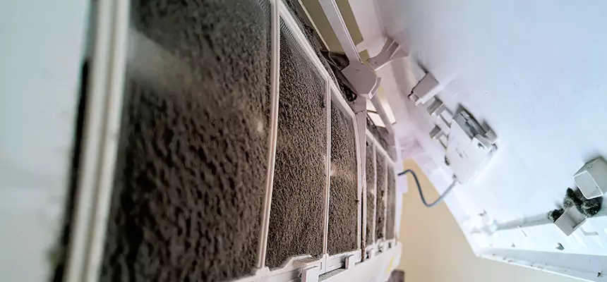 Preventive Air Duct Bacteria Removal in Ashland