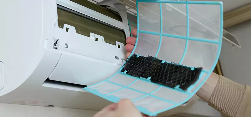 Gentle Ductwork Odor-Control Pet Dander Duct Cleaning in Ashland, OR