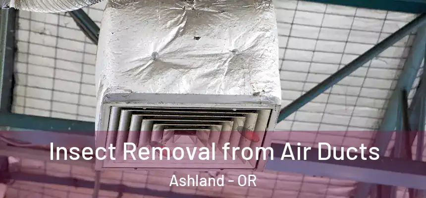  Insect Removal from Air Ducts Ashland - OR