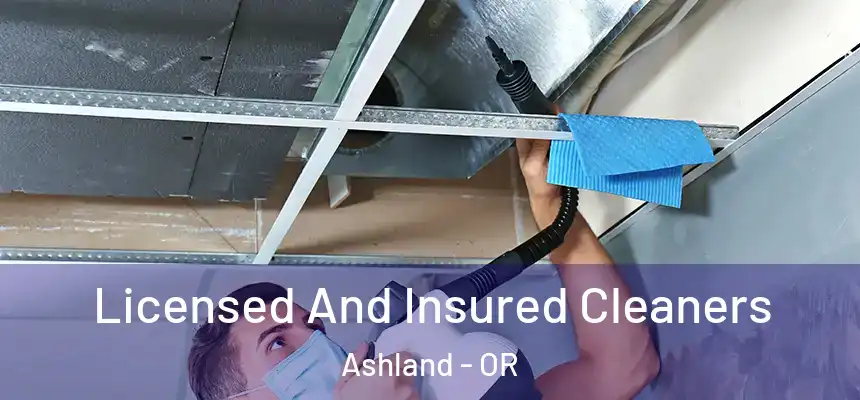 Licensed And Insured Cleaners Ashland - OR