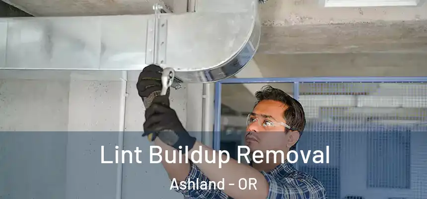 Lint Buildup Removal Ashland - OR