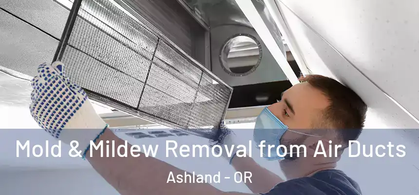  Mold & Mildew Removal from Air Ducts Ashland - OR