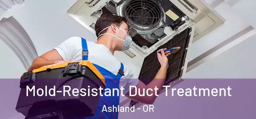  Mold-Resistant Duct Treatment Ashland - OR