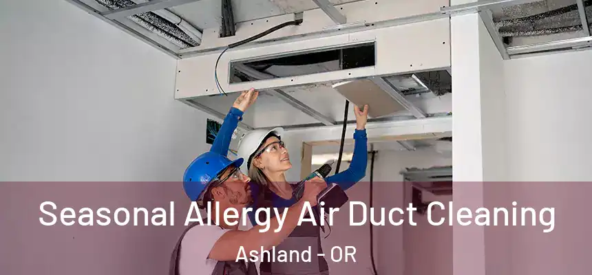  Seasonal Allergy Air Duct Cleaning Ashland - OR
