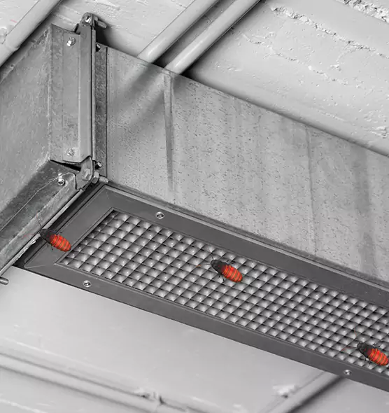 About Air Duct Cockroach Removal in Ashland, OR