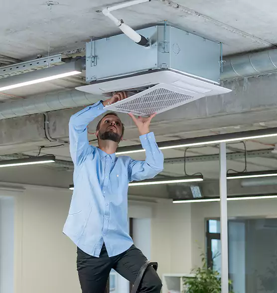 Advanced Rodent Droppings In Vents in Ashland, OR