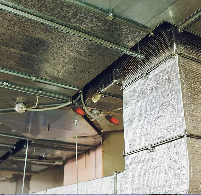 Why Homeowners & Businesses Trust Us in Ashland, OR?