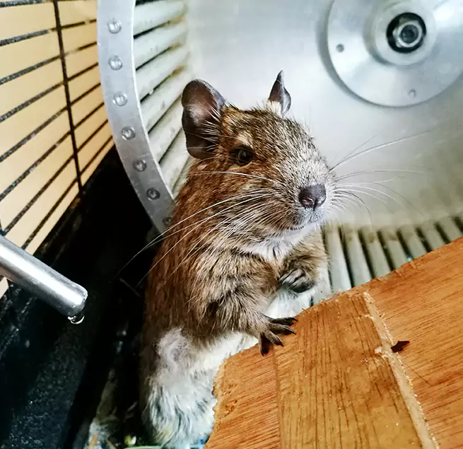 Why Homeowners & Businesses Trust Us Ashland, OR?